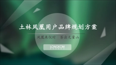 【土林凤凰】用户品牌规划方案