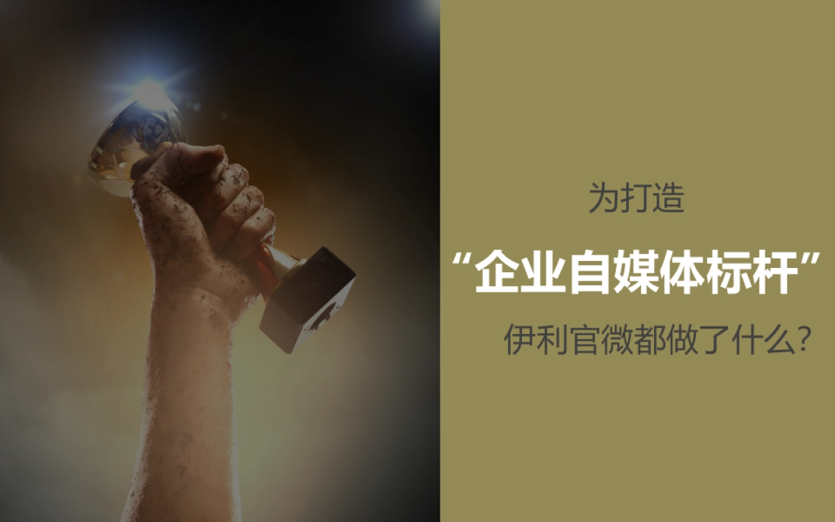 伊利官方微信总结汇报by飞扬_第4页