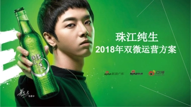 珠江纯生2018双微代运营投标方案