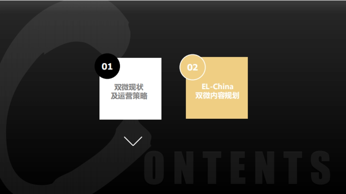 2017-雅诗兰黛中国-双微运营方案_第3页