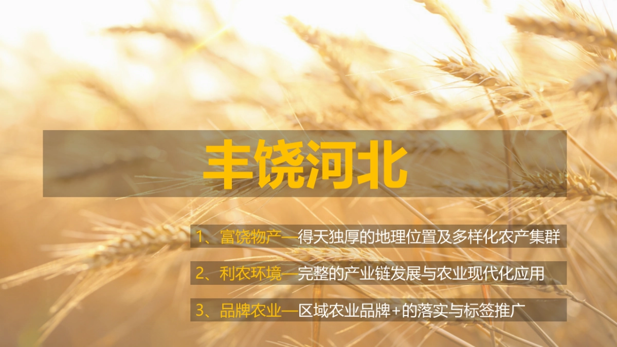 丰饶河北双微搭建运营方案_第10页