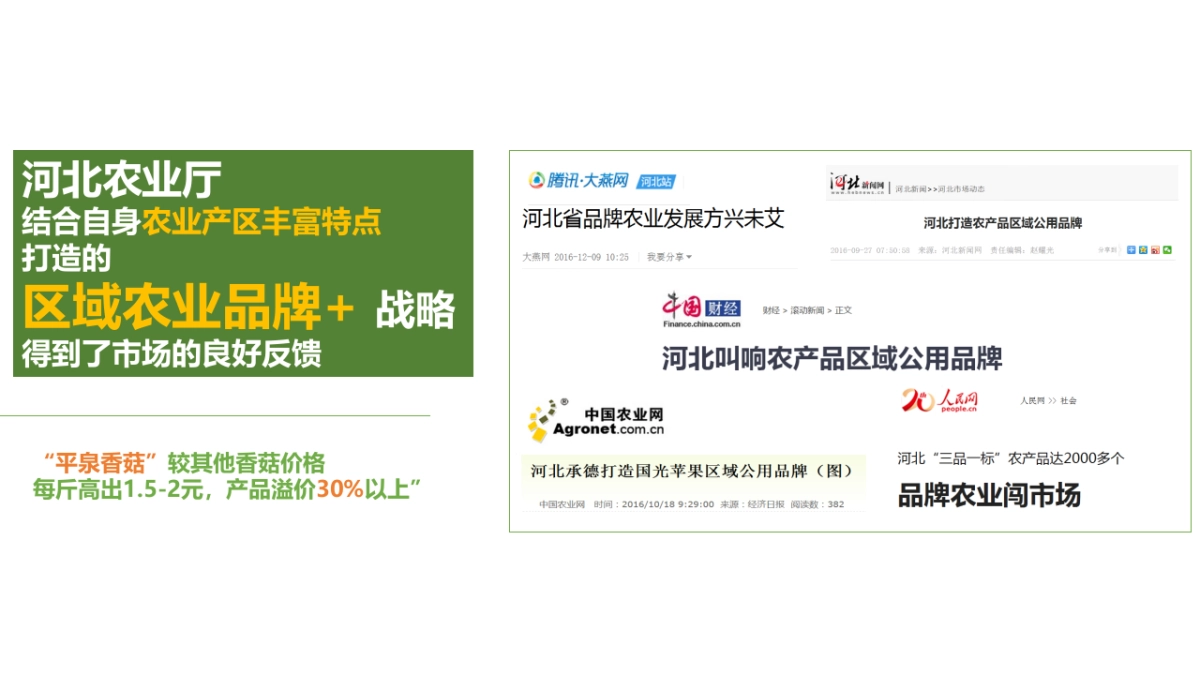 丰饶河北双微搭建运营方案_第3页