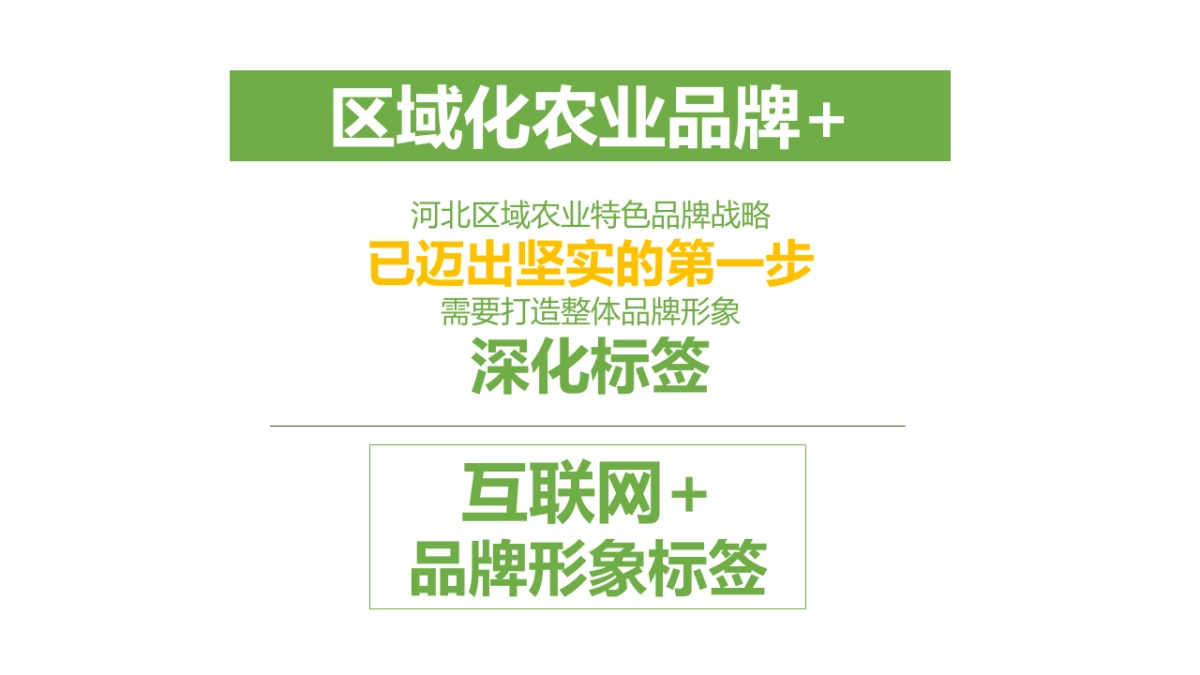 丰饶河北双微搭建运营方案_第7页