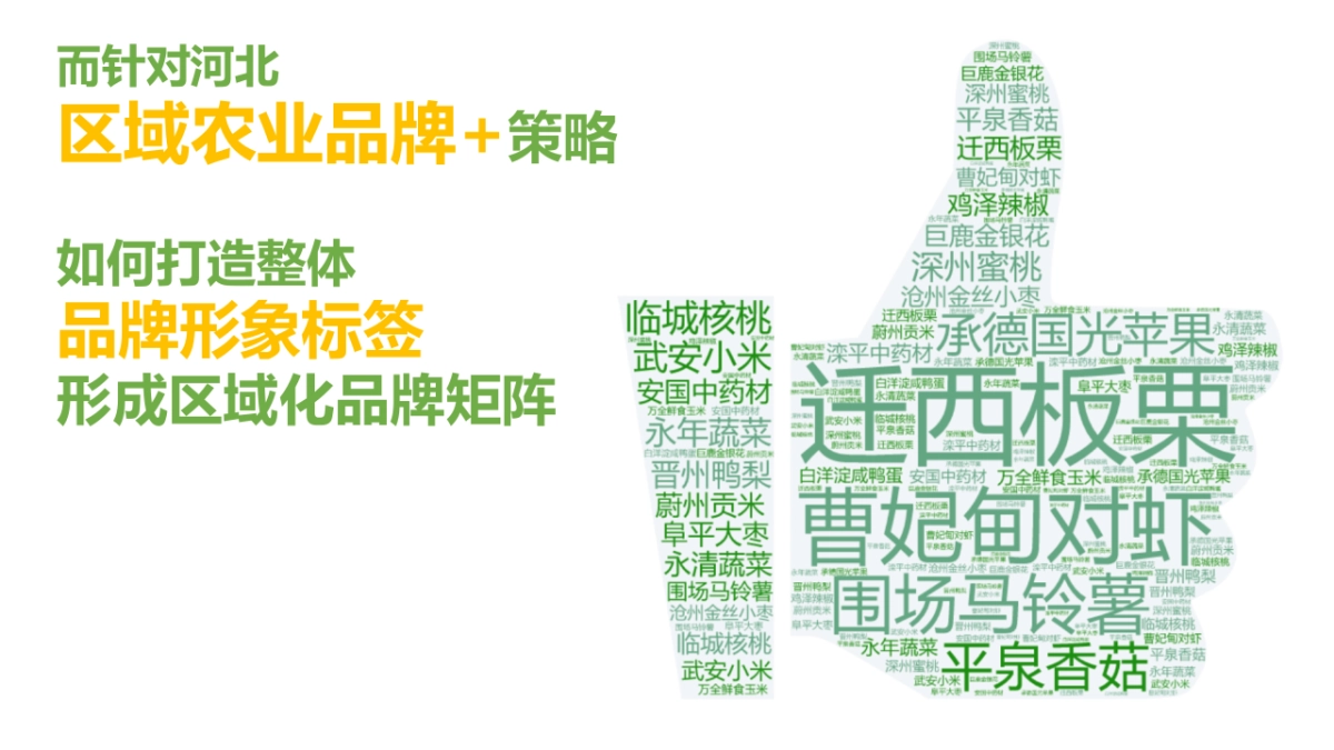 丰饶河北双微搭建运营方案_第8页