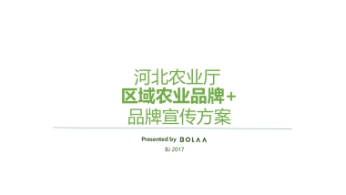 丰饶河北双微搭建运营方案