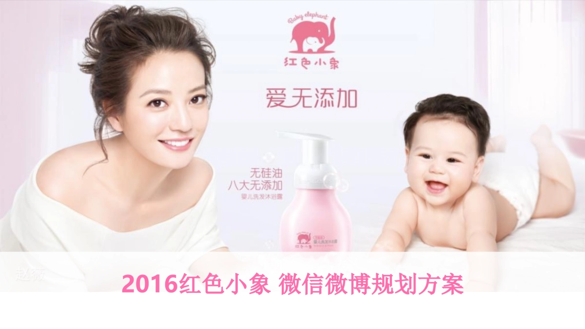 红色小象微信微博规划方案_第2页