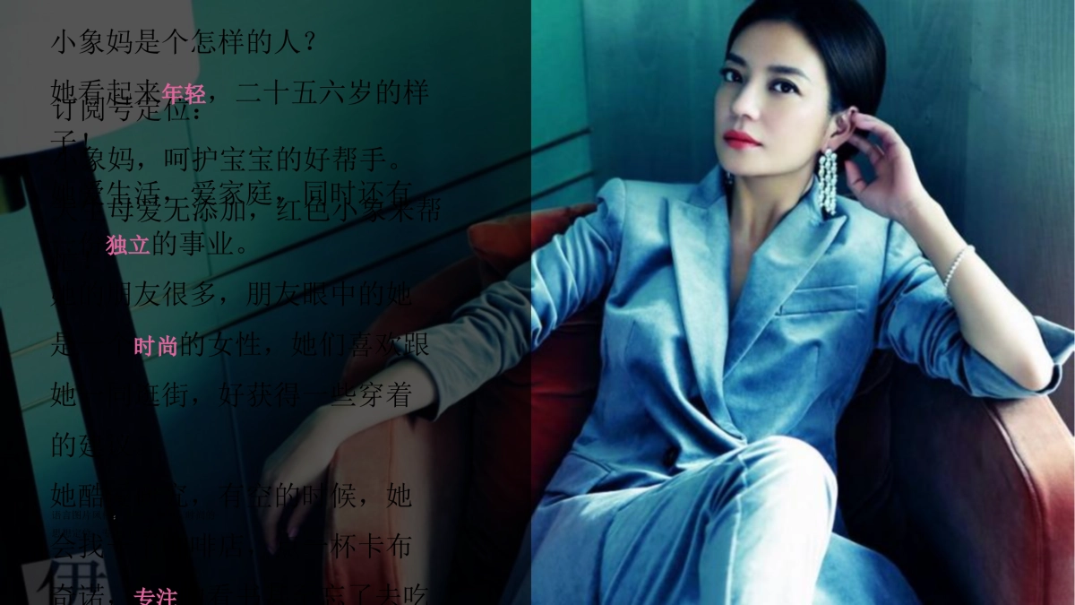 红色小象微信微博规划方案_第7页