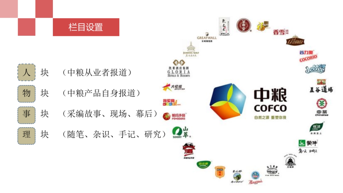 中粮集团电子刊策划方案_第7页