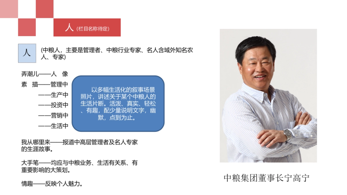 中粮集团电子刊策划方案_第8页