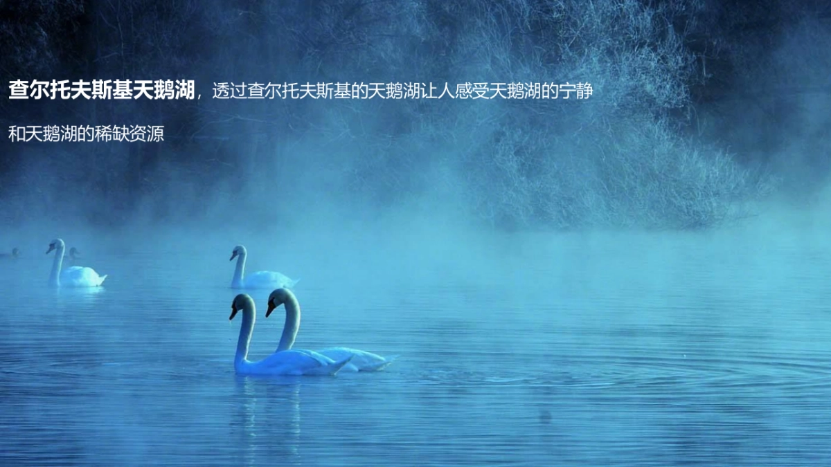 2018融创玖樟台洋房产品发布会暨喜迎新年策划案_第4页