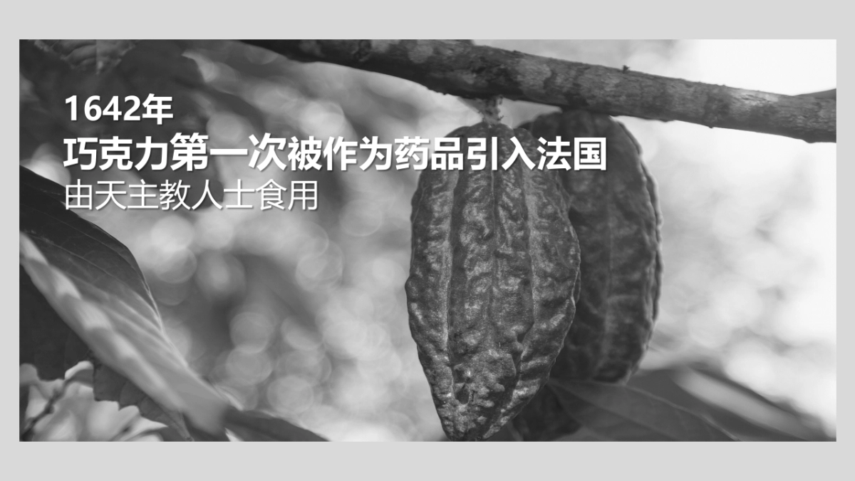 2019CHOCOLATE球囊导管上市活动创意方案_第9页