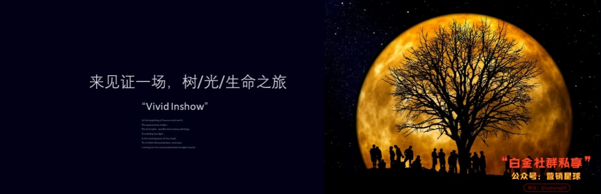 2019博地影秀城互动装置艺术展主题活动概念案_第10页