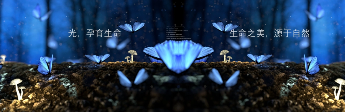 2019博地影秀城互动装置艺术展主题活动概念案_第9页