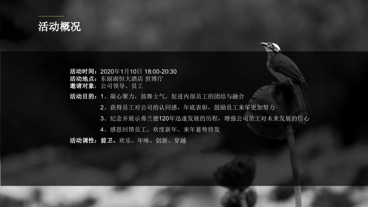 2020弗兰德跨越百年年会策划方案_第9页