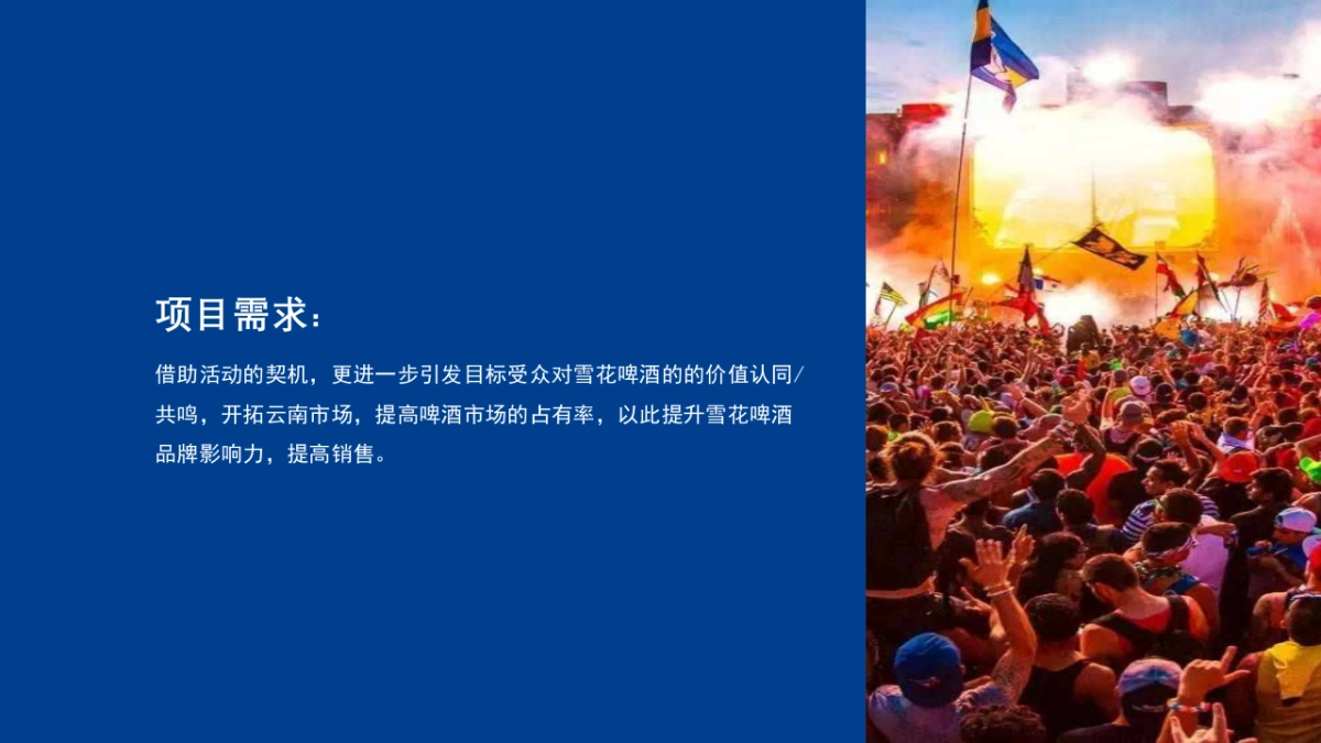 2020雪花民族啤酒节“年轻无极限 无畏共天涯”活动策划方案_第2页