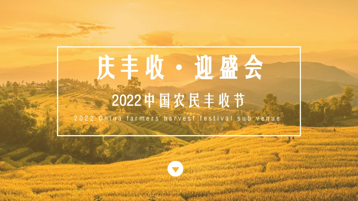 2022中国农民丰收节活动策划方案_第1页