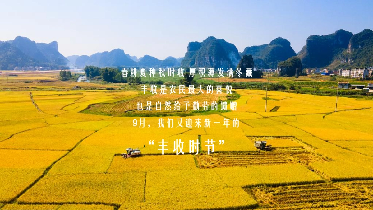 2022中国农民丰收节活动策划方案_第2页