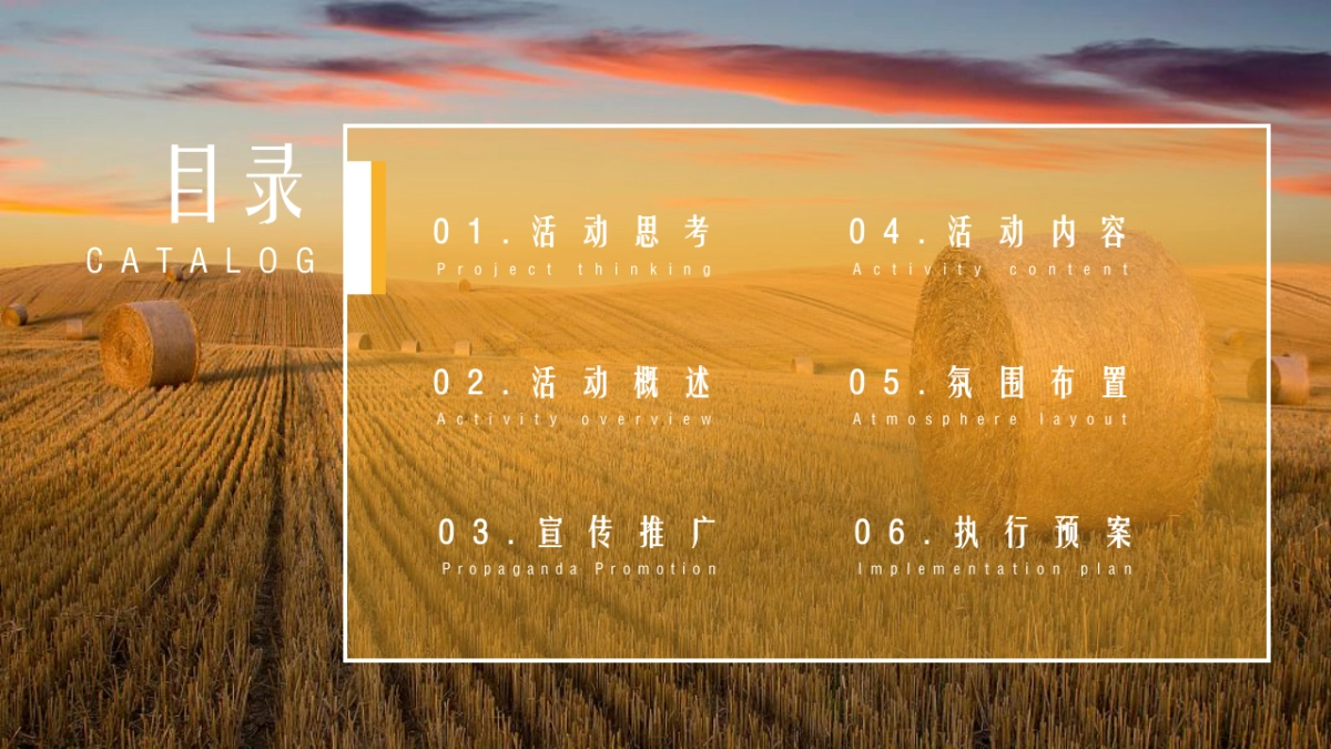 2022中国农民丰收节活动策划方案_第3页