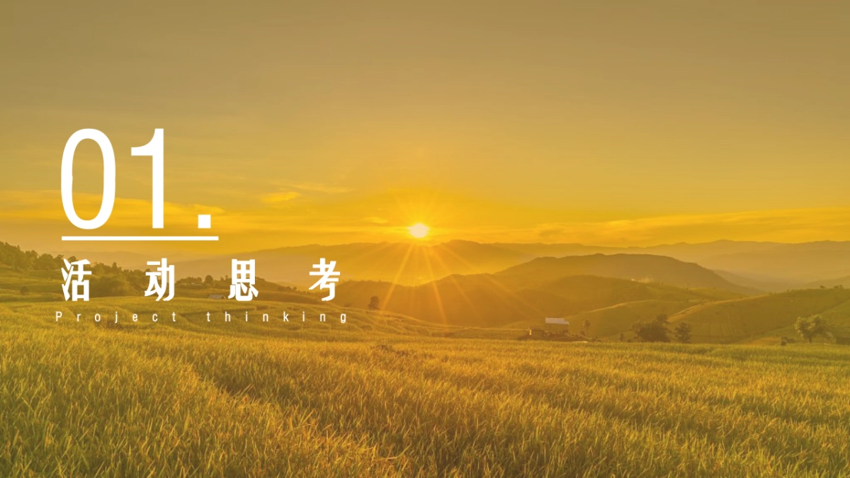 2022中国农民丰收节活动策划方案_第4页