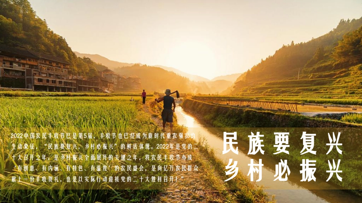 2022中国农民丰收节活动策划方案_第6页