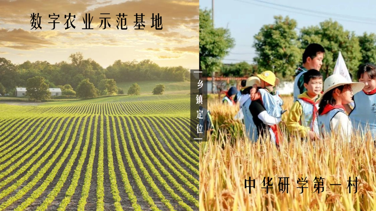 2022中国农民丰收节活动策划方案_第7页