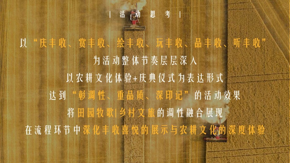 2022中国农民丰收节活动策划方案_第9页