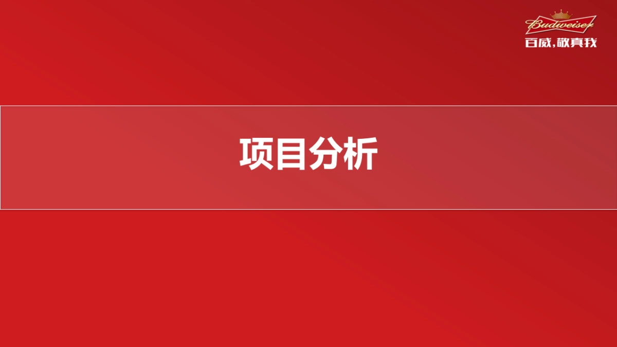 百威情人节活动创意_第3页