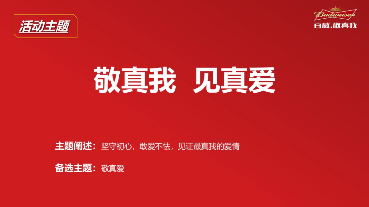 百威情人节活动创意_第9页