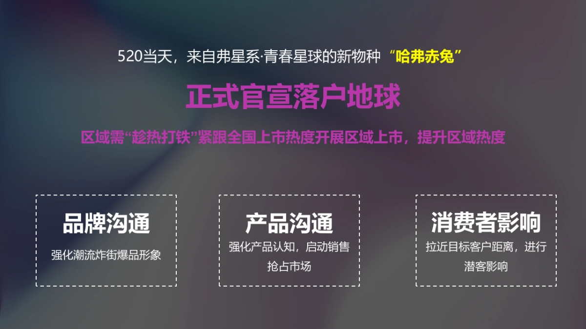 哈弗赤兔长沙区域上市发布会暨宠粉激擎之夜活动策划方案_第4页