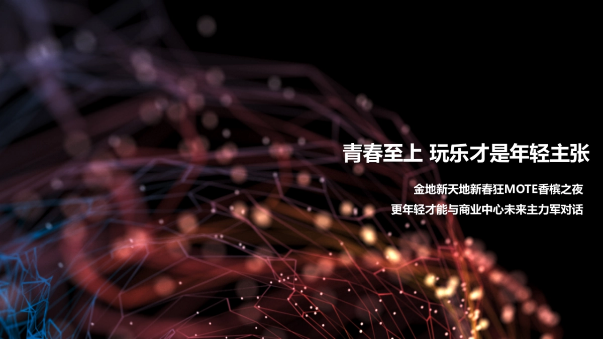 金地新天地新春狂MOTE香槟之夜酒会策划案_第2页