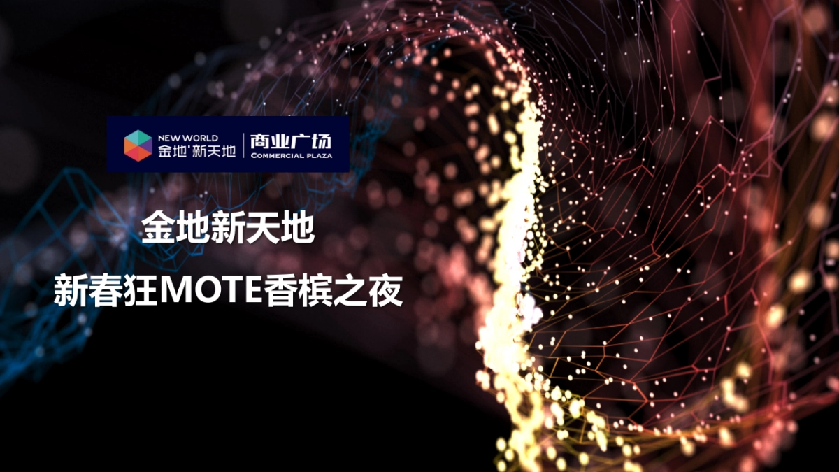 金地新天地新春狂MOTE香槟之夜酒会策划案_第3页