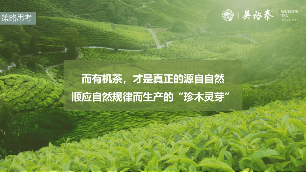 吴裕泰&安溪县有机茶新品上市发布会0408_第10页