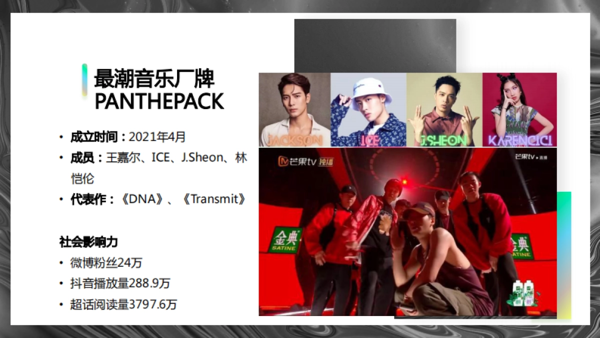 【瑞迪欧】王嘉尔厂牌PANTHEPACK全国公播活动方案_第4页