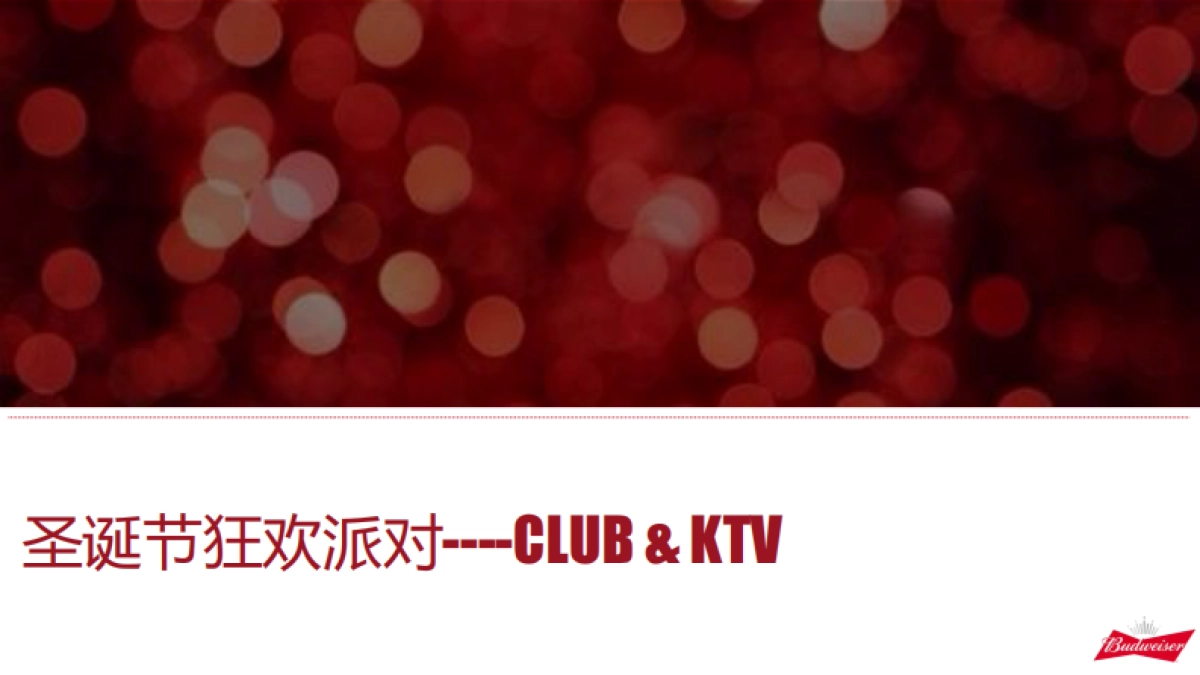 2017百威圣诞夜场活动方案_第4页