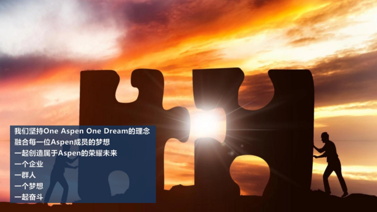 2018Aspen中国年会策划方案_第8页