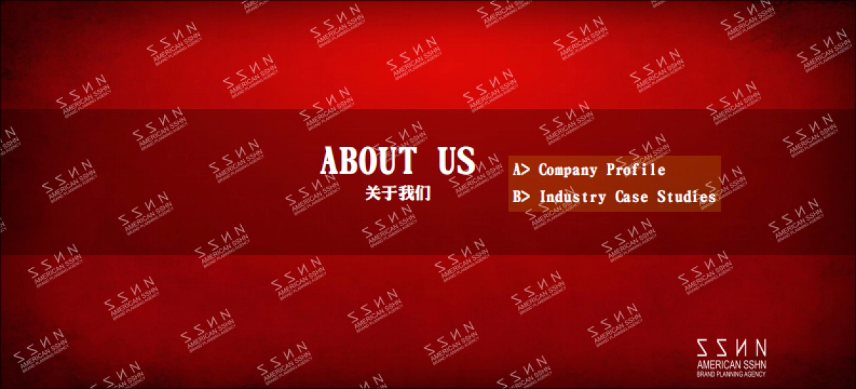 2018统帅发布会策划案（盛世华纳）_第2页