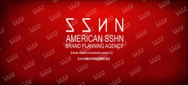 2018统帅发布会策划案（盛世华纳）