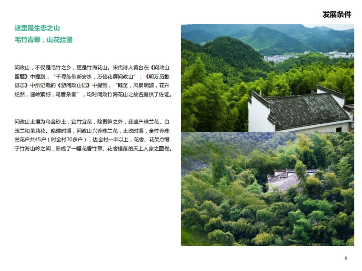 安徽省歙县问政山旅游策划_第10页