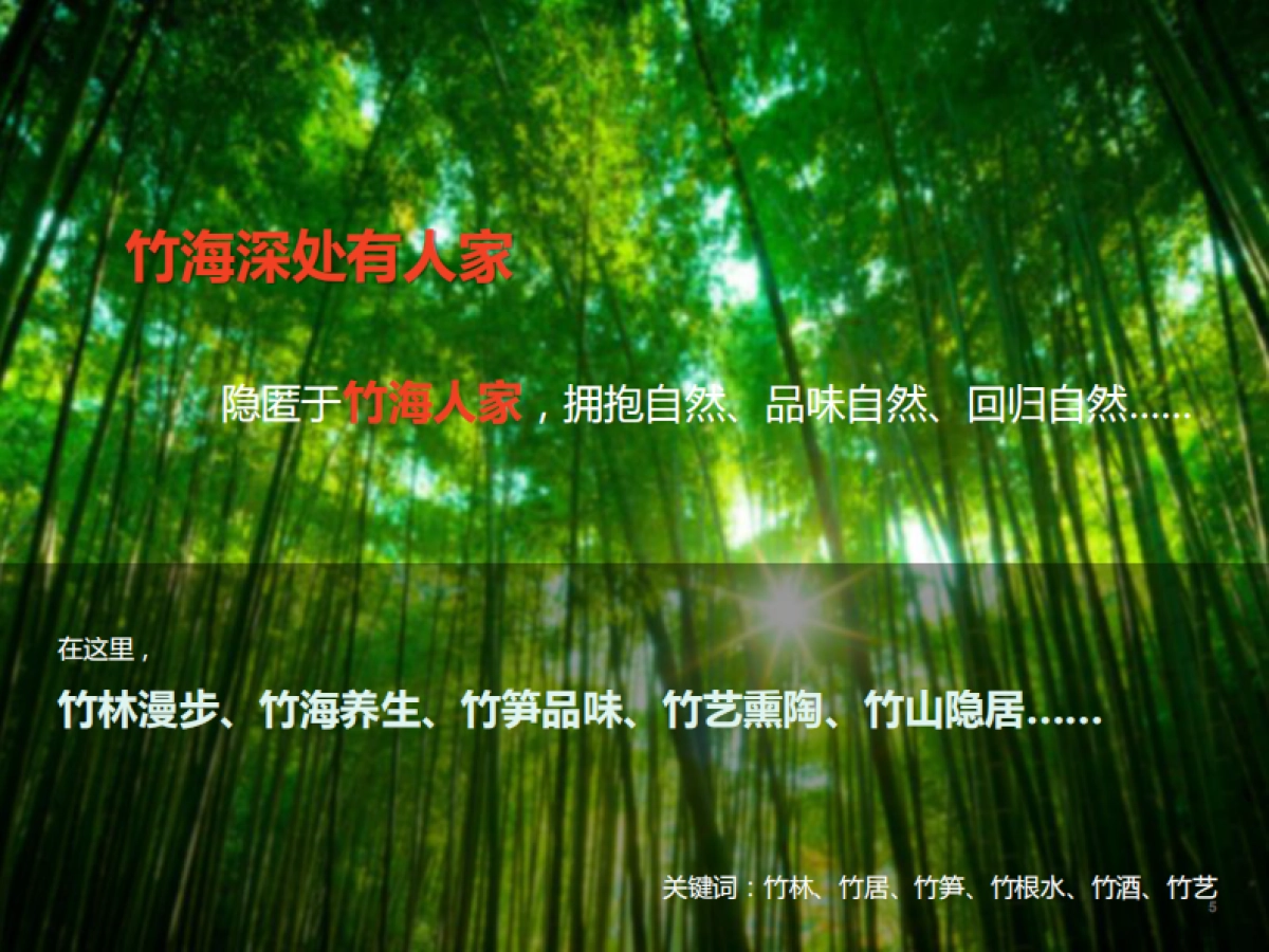 安徽省歙县问政山旅游策划_第6页