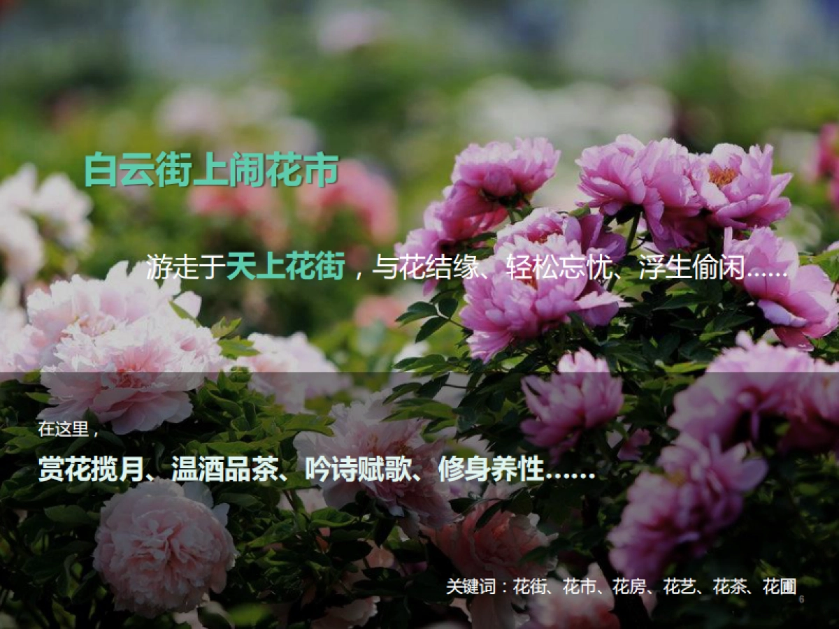 安徽省歙县问政山旅游策划_第7页