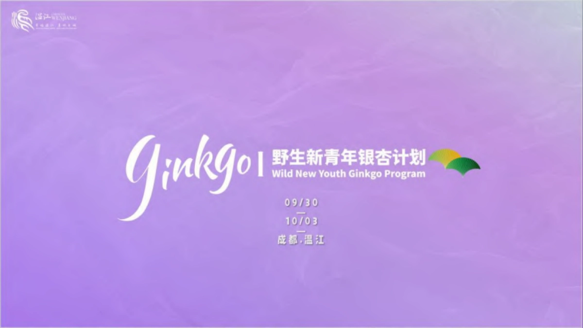 城市野生新青年音乐节活动策划方案_第1页