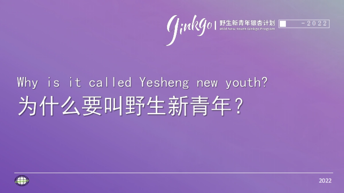 城市野生新青年音乐节活动策划方案_第2页