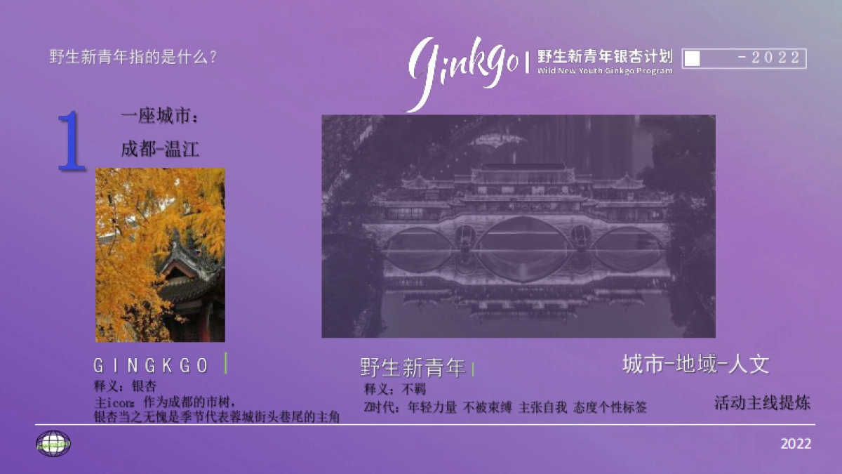 城市野生新青年音乐节活动策划方案_第4页