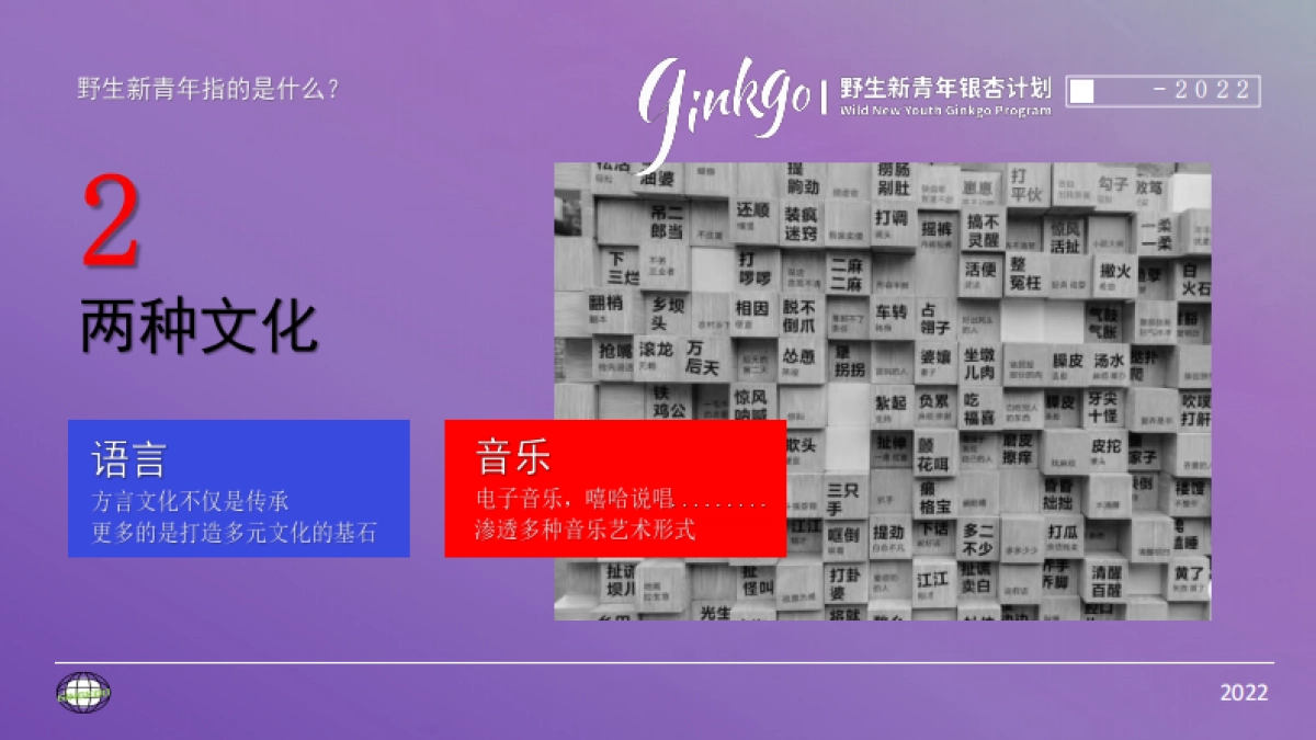 城市野生新青年音乐节活动策划方案_第5页