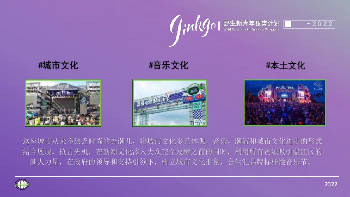 城市野生新青年音乐节活动策划方案_第7页