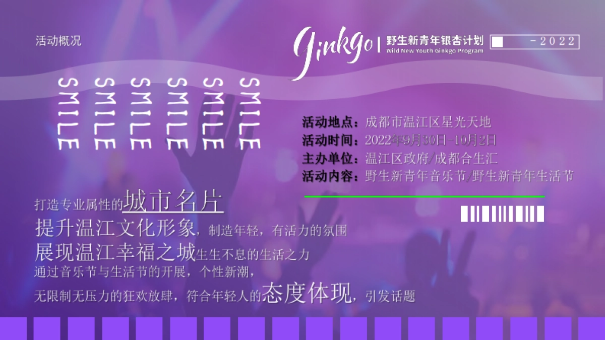 城市野生新青年音乐节活动策划方案_第8页