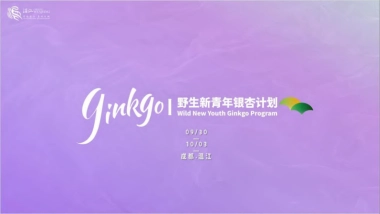 城市野生新青年音乐节活动策划方案