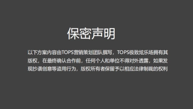 大九街文化旅游策划方案