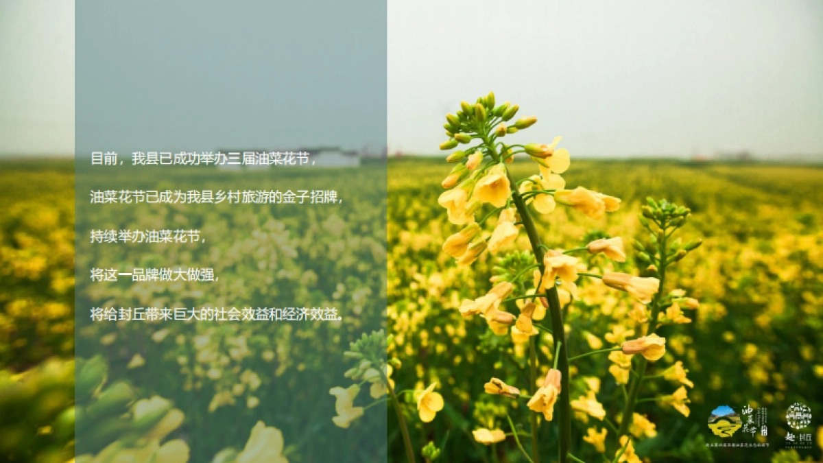 封丘第四届国潮油菜花节活动规划_第7页