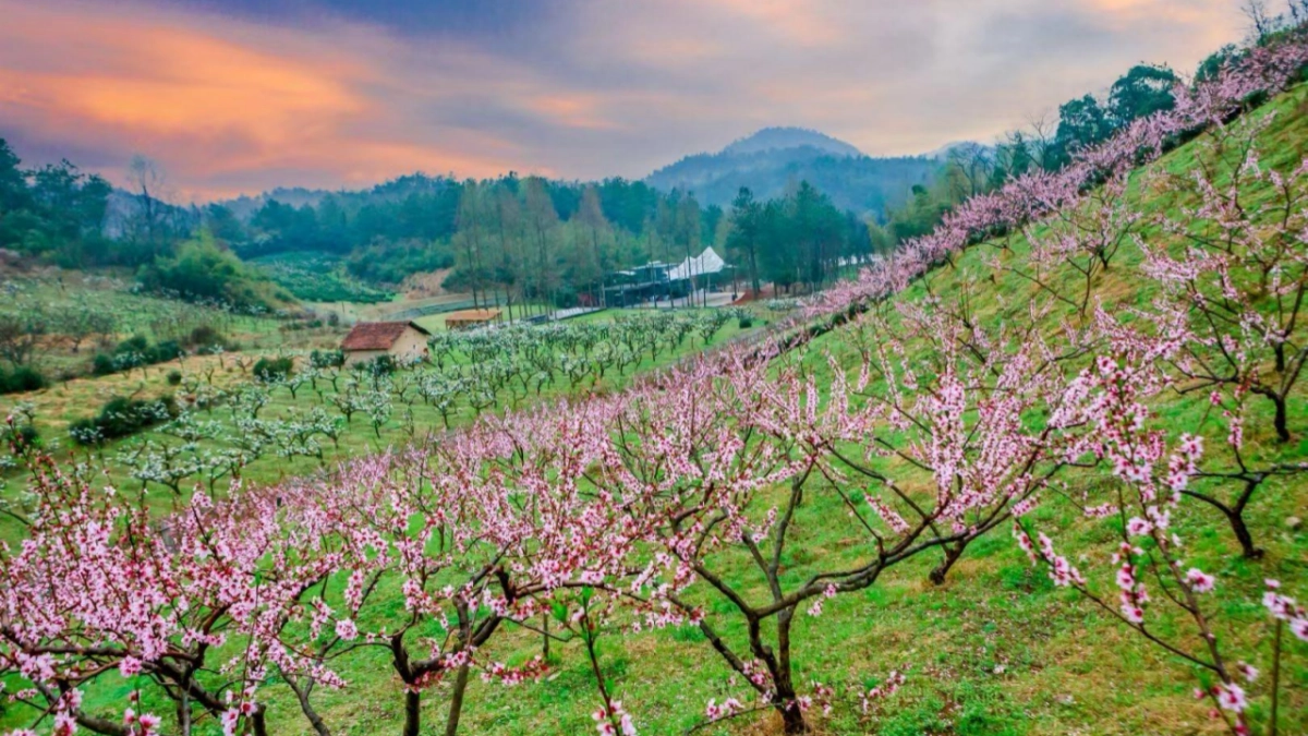 文旅疗休养基地运动村度假项目推介.pptx_第2页